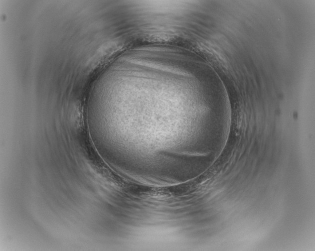 X0000088750743200706141728