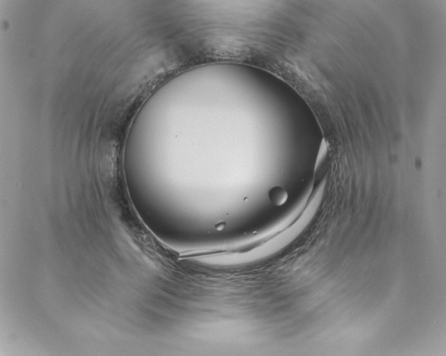 X0000088750744200706141728