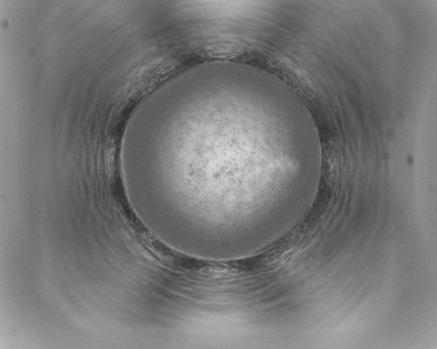 X0000088750745200706141728