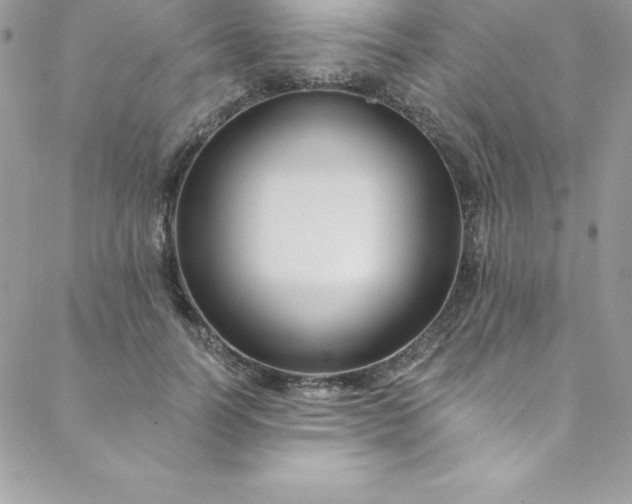 X0000088750746200706141728