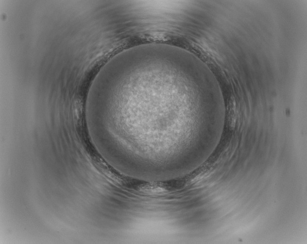 X0000088750747200706141728