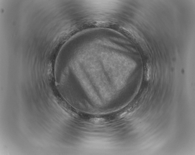 X0000088750748200706141728