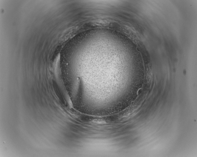 X0000088750749200706141728