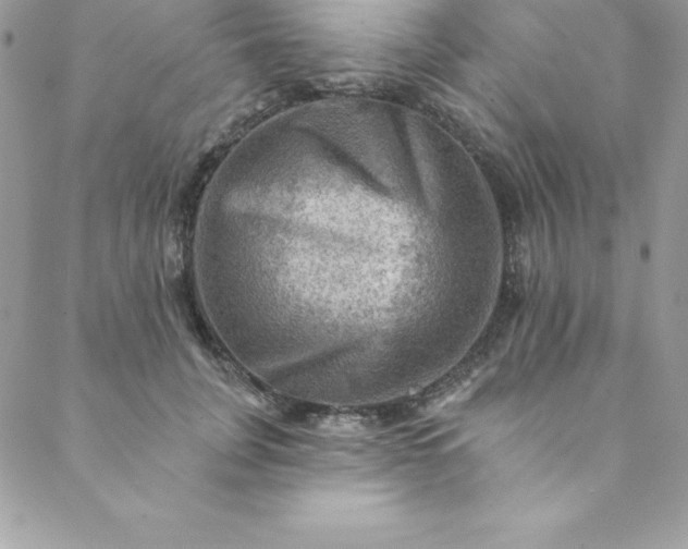 X0000088750751200706141728