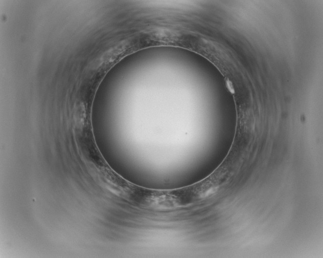 X0000088750752200706141728