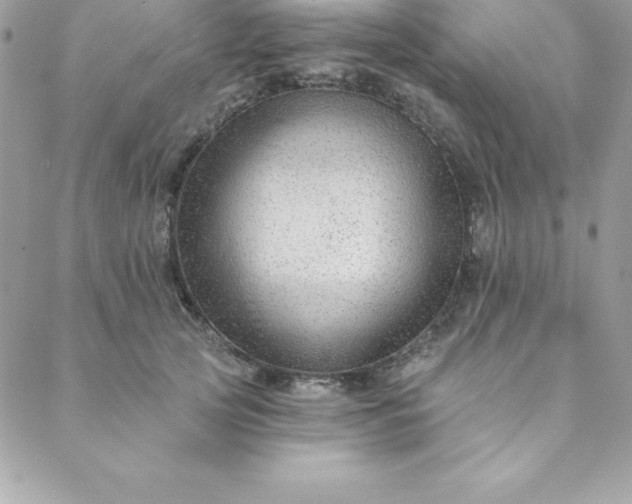 X0000088750753200706141728