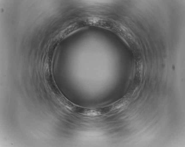 X0000088750754200706141728