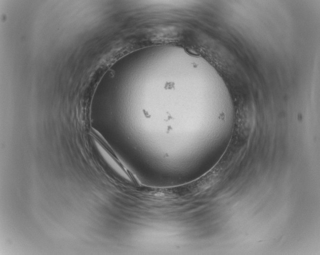 X0000088750755200706141728