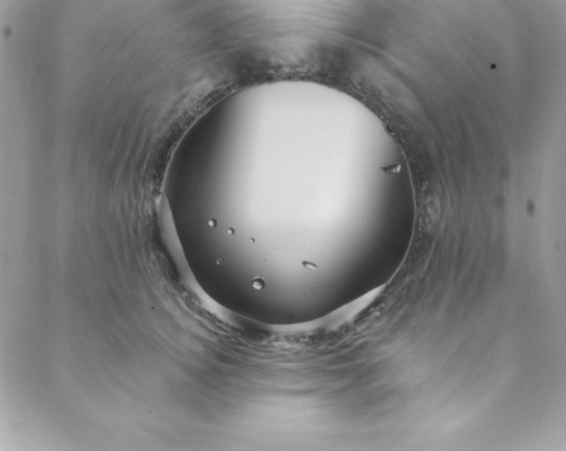 X0000088750756200706141728