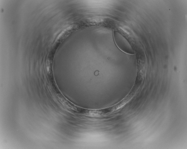 X0000088750758200706141728