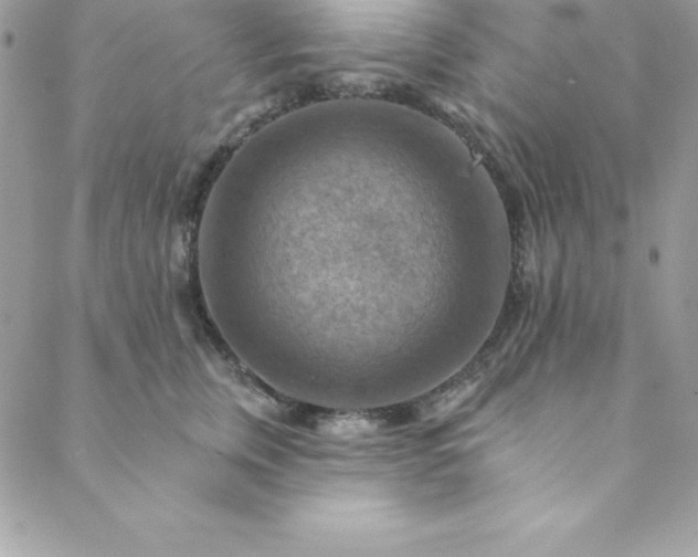 X0000088750759200706141728