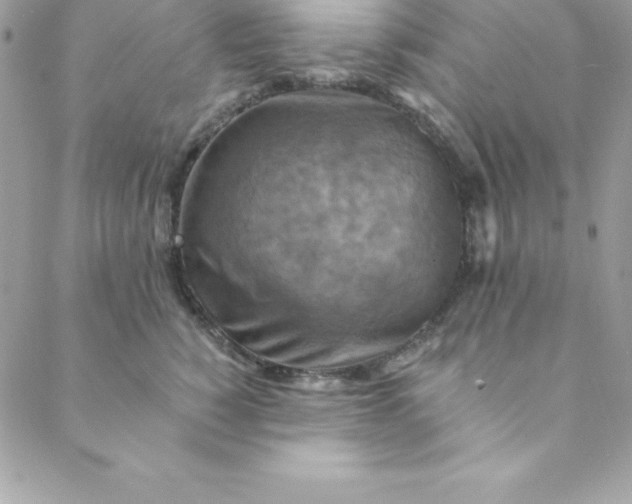 X0000088750760200706141728