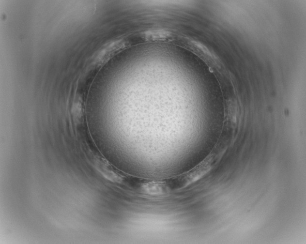 X0000088750761200706141728