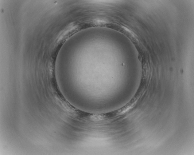 X0000088750762200706141728