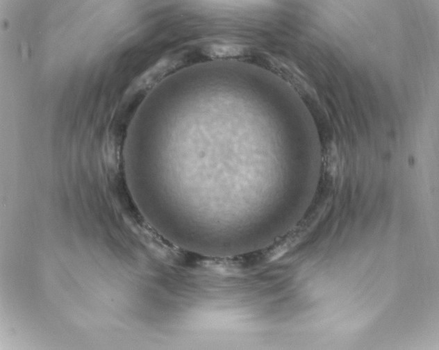 X0000088750763200706141728