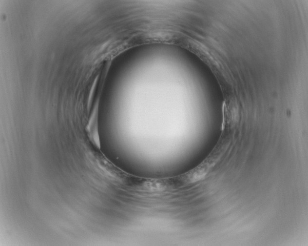 X0000088750764200706141728