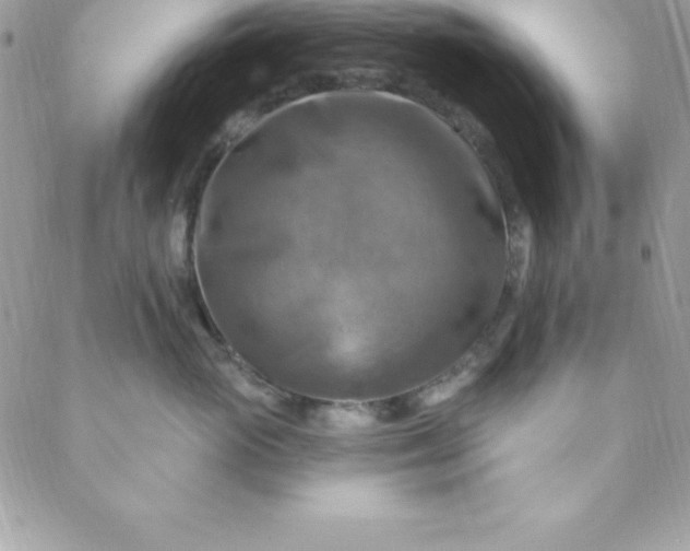 X0000088750765200706141728