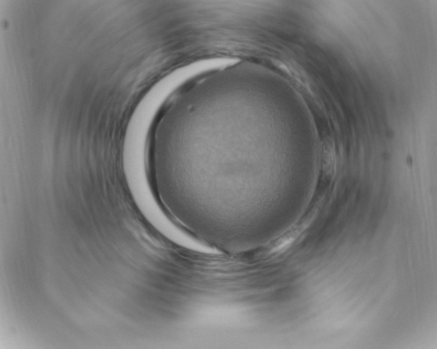 X0000088750766200706141728