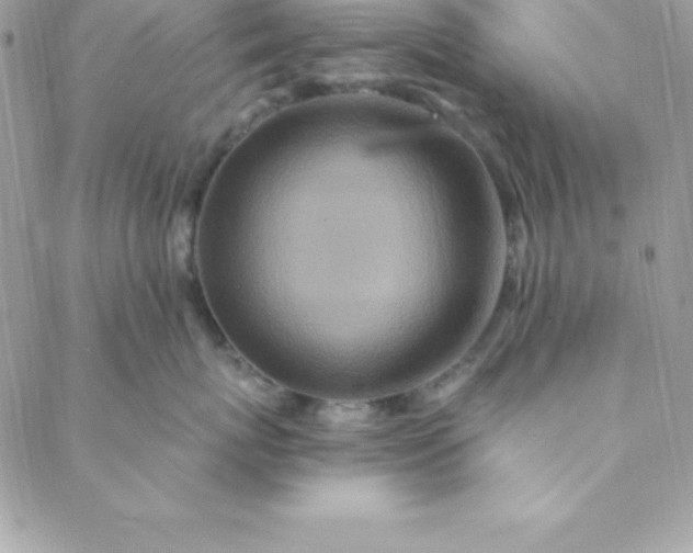 X0000088750767200706141728