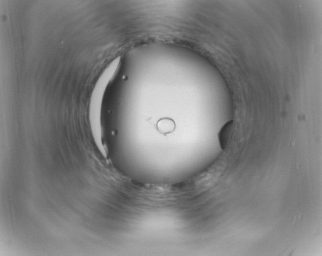 X0000088750768200706141728