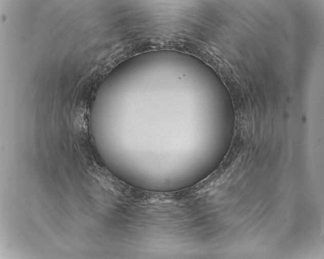 X0000088750770200706141727