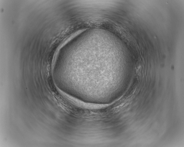 X0000088750772200706141727