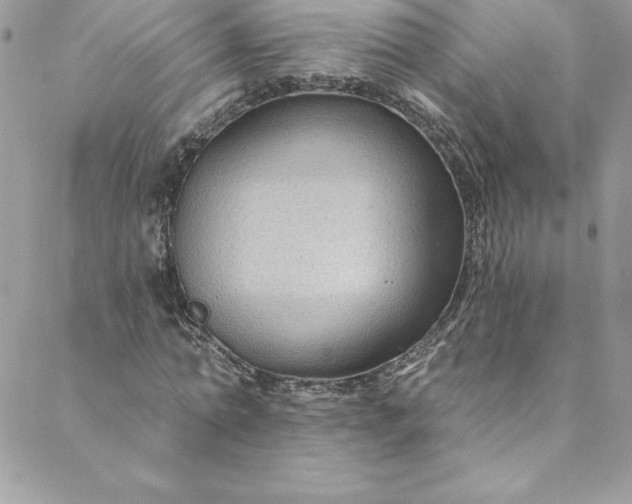 X0000088750774200706141727