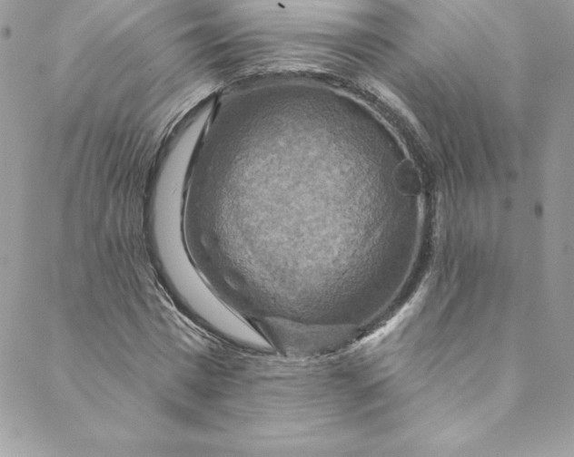 X0000088750777200706141727