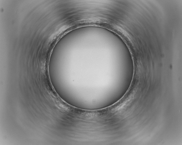 X0000088750778200706141727