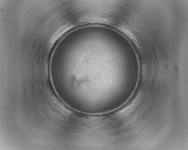 X0000088750782200706141727