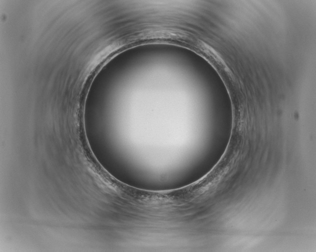 X0000088750786200706141727