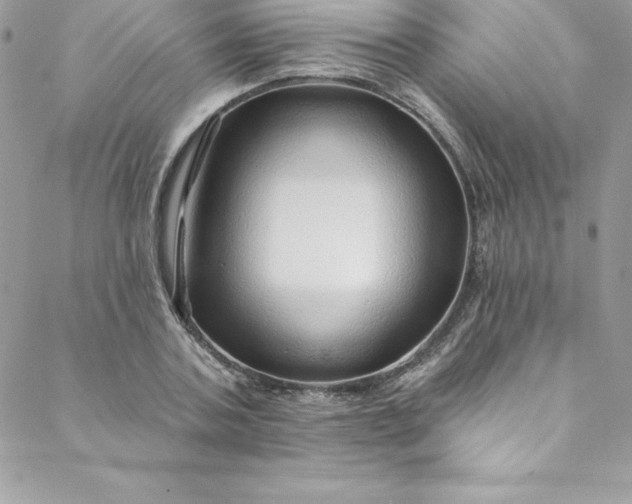 X0000088750787200706141727