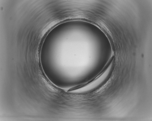 X0000088750789200706141727