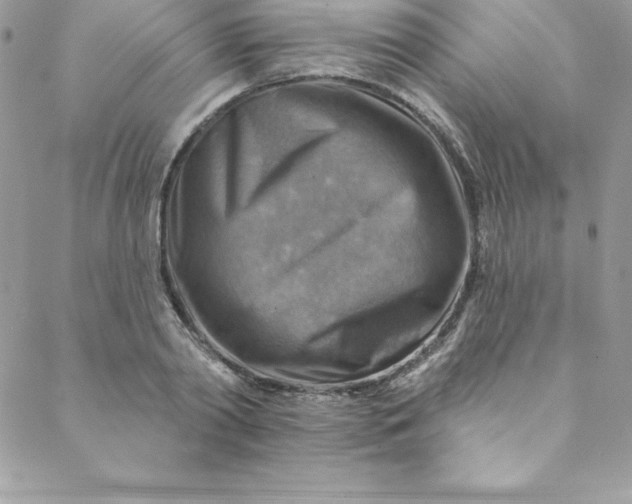 X0000088750790200706141727