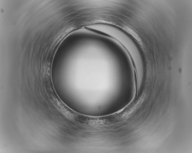 X0000088750793200706141727