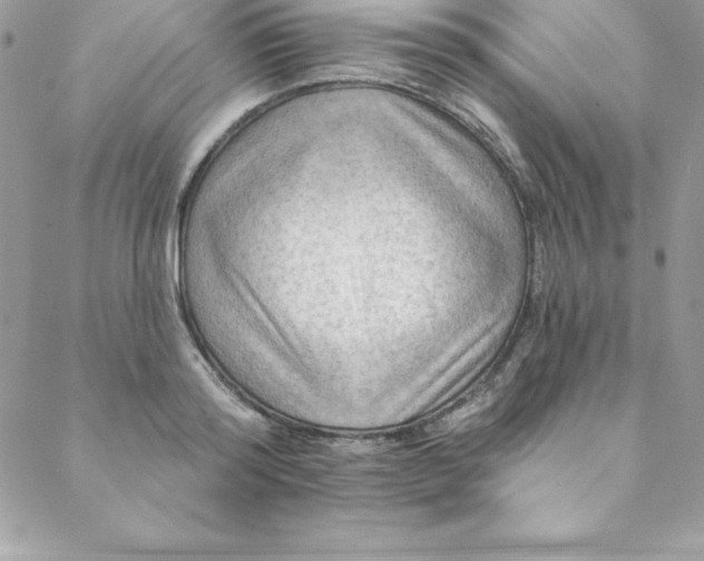 X0000088750796200706141727