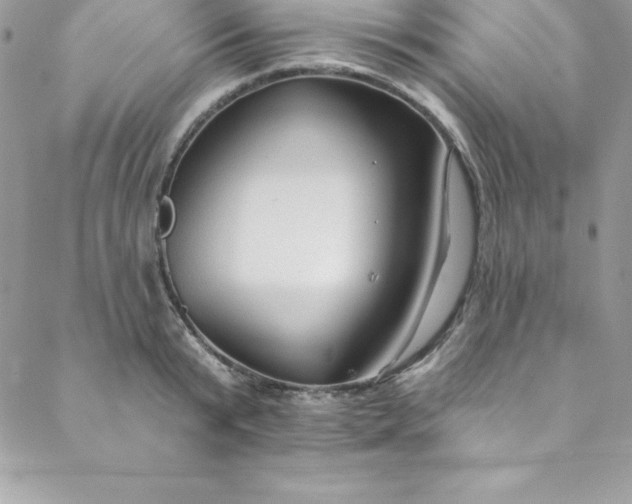 X0000088750799200706141727