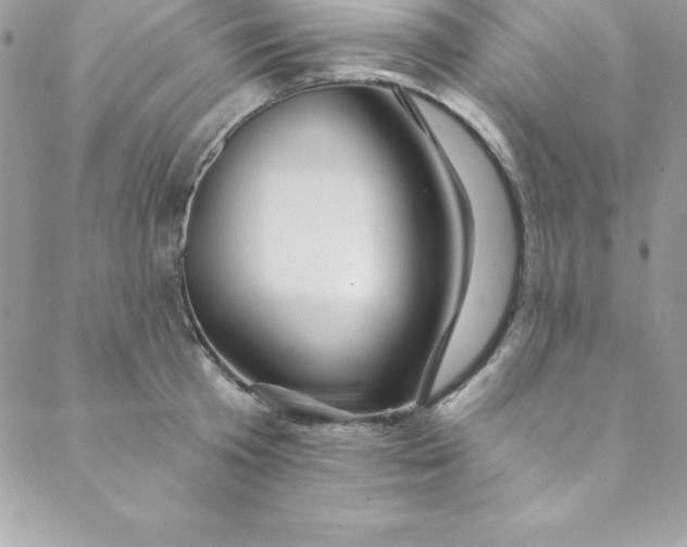 X0000088750801200706141727