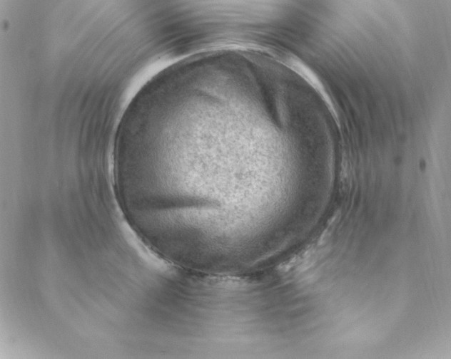 X0000088750811200706141726