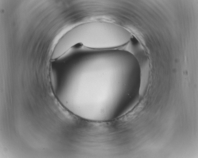 X0000088750816200706141726