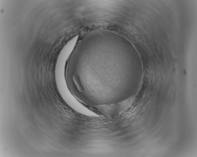 X0000088750818200706141726
