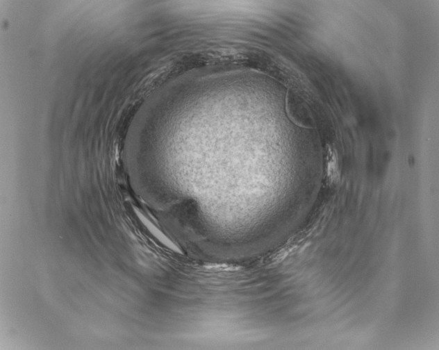 X0000088750819200706141726