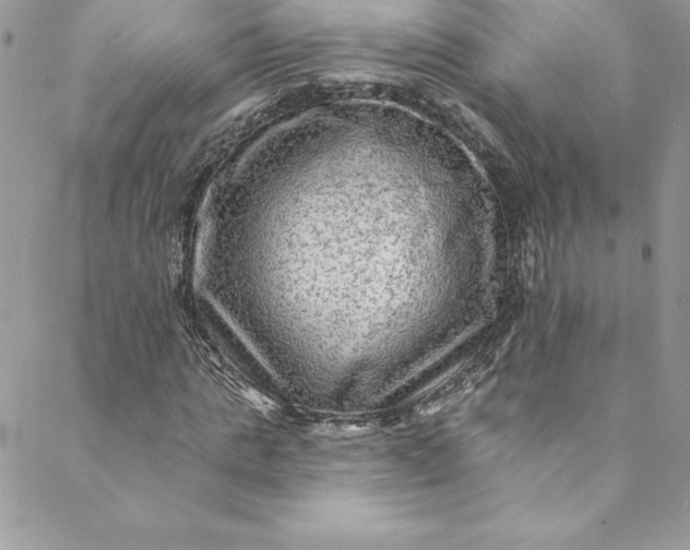 X0000088750821200706141726