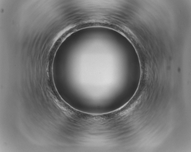 X0000088750830200706141726