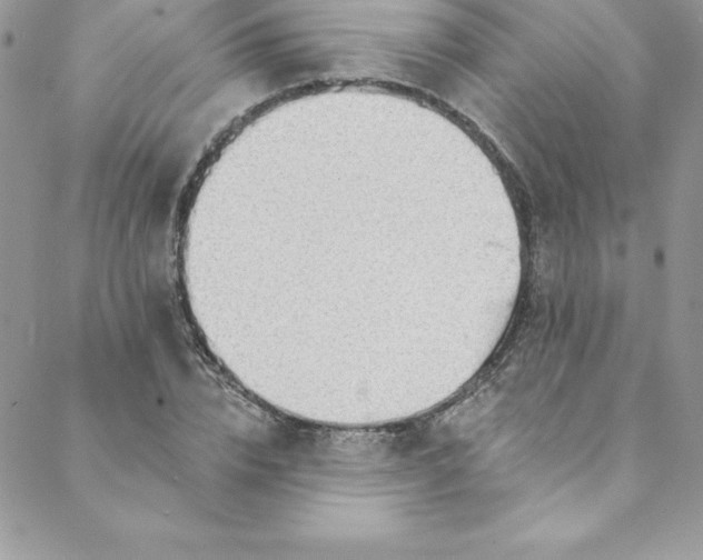 X0000088750832200706141726