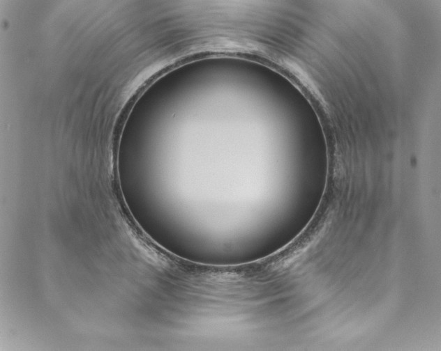 X0000088750837200706141726
