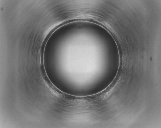 X0000088750838200706141726