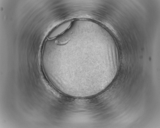 X0000088750840200706141726