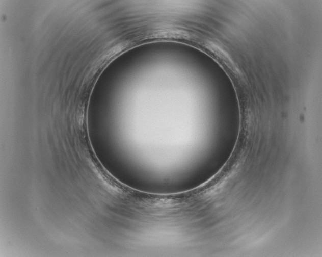 X0000088750841200706141726
