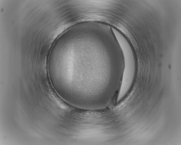 X0000088750842200706141726
